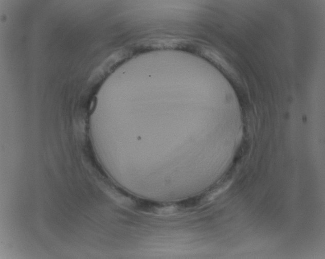 X0000077380309200611101736