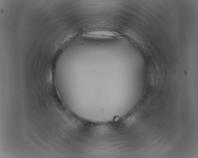 X0000077380310200611101736