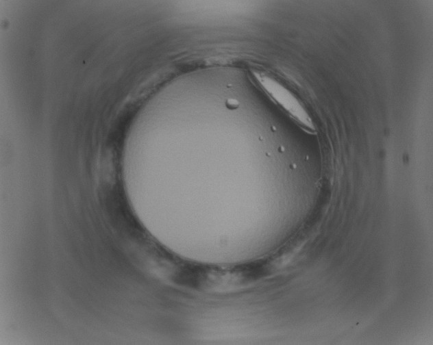 X0000077380311200611101736