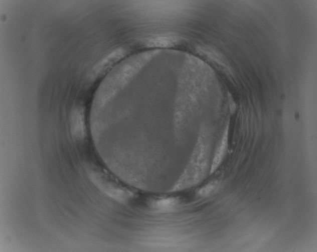 X0000077380312200611101736