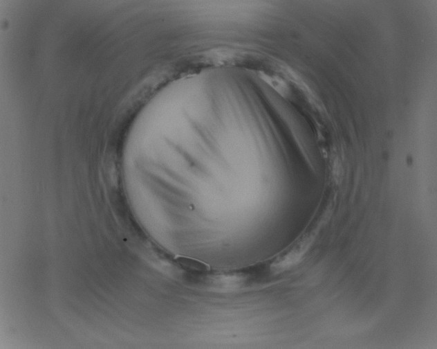 X0000077380313200611101736