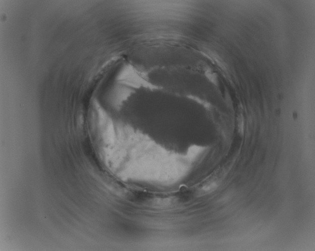 X0000077380314200611101736