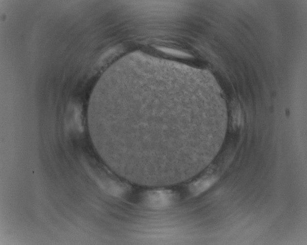 X0000077380316200611101736