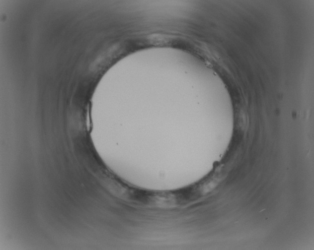 X0000077380317200611101736