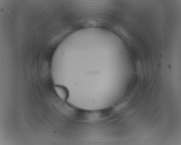 X0000077380318200611101736