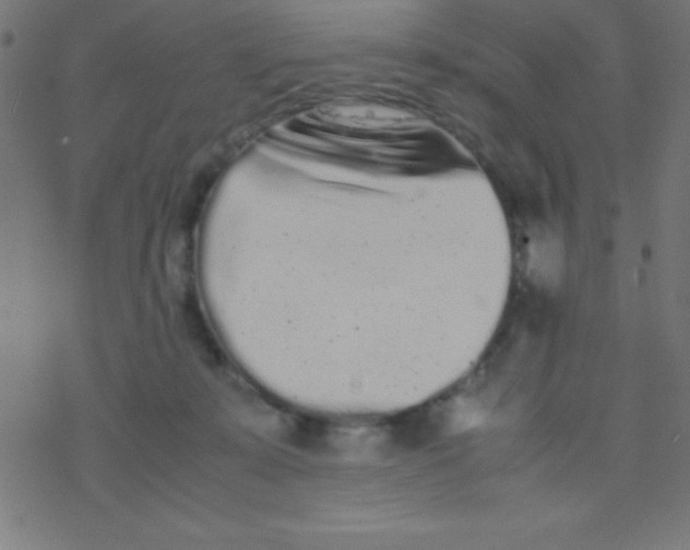 X0000077380319200611101736