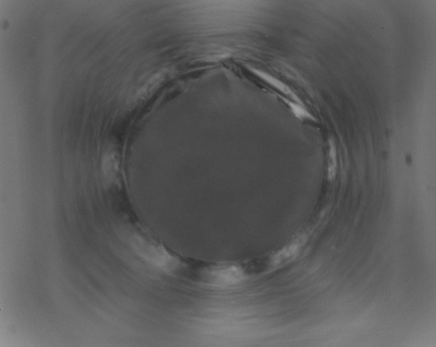 X0000077380322200611101736