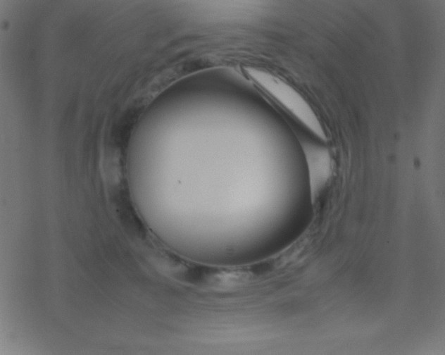 X0000077380323200611101736