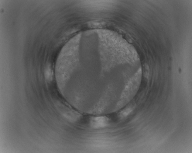 X0000077380324200611101736