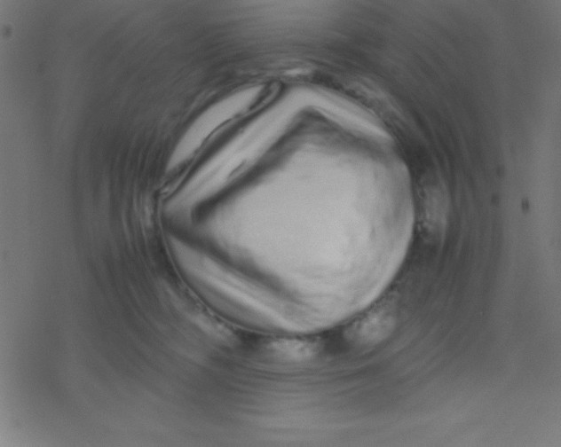 X0000077380326200611101736