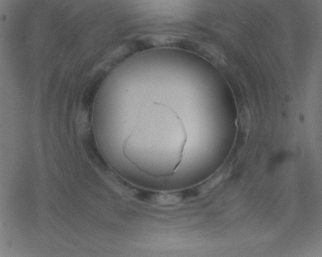 X0000077380327200611101736