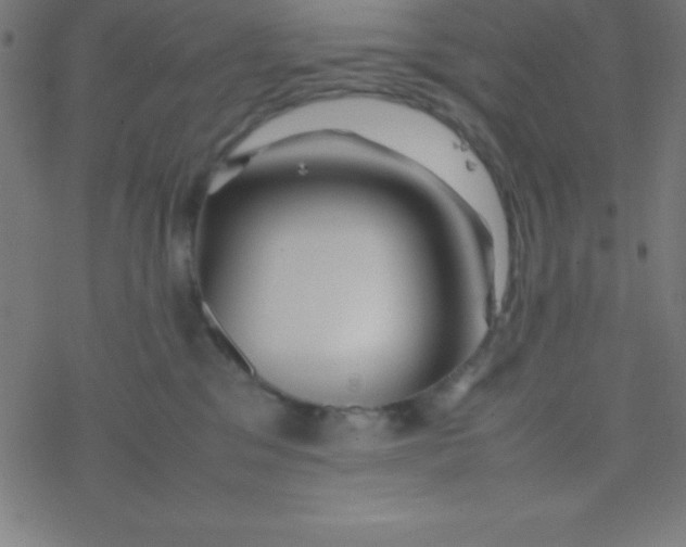 X0000077380329200611101736