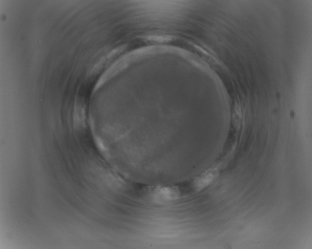 X0000077380330200611101736