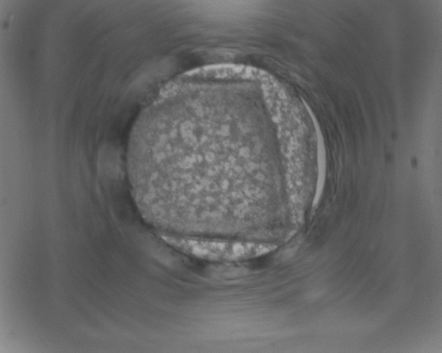 X0000077380331200611101736