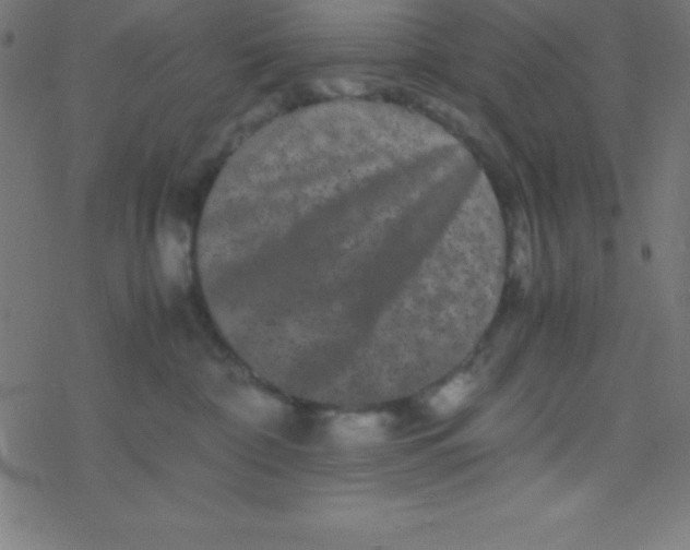 X0000077380332200611101736