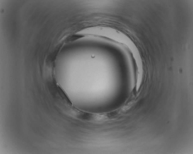 X0000077380333200611101736