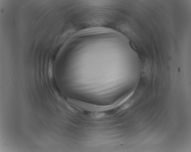 X0000077380334200611101735