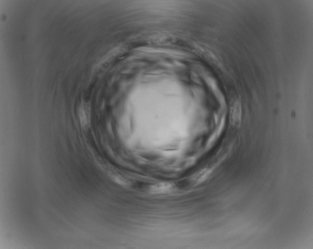 X0000077380335200611101735