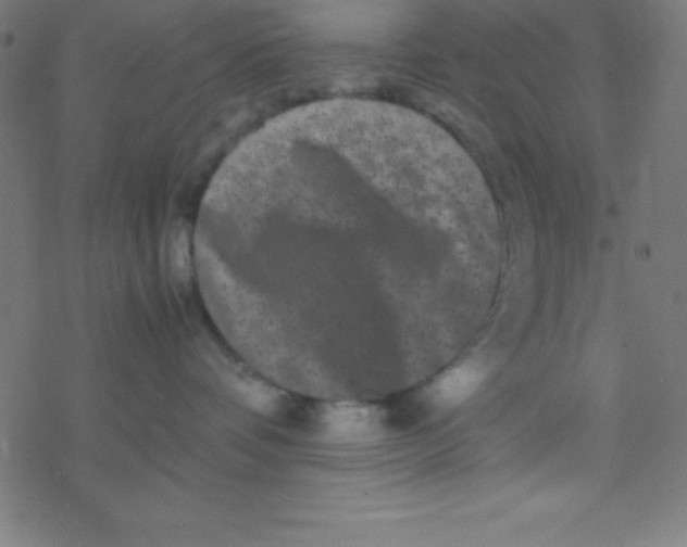 X0000077380336200611101735