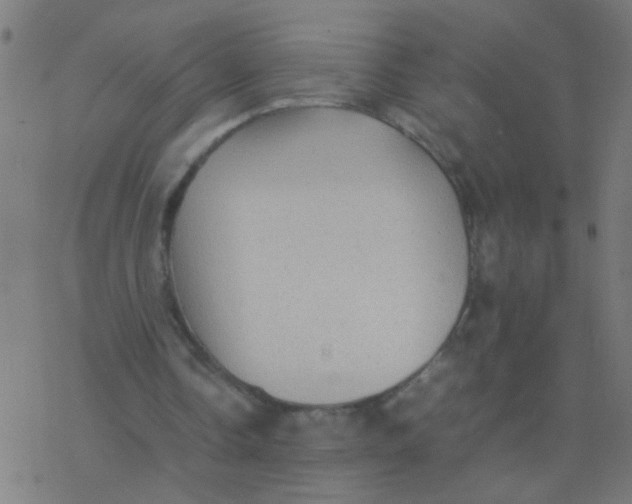 X0000077380338200611101735