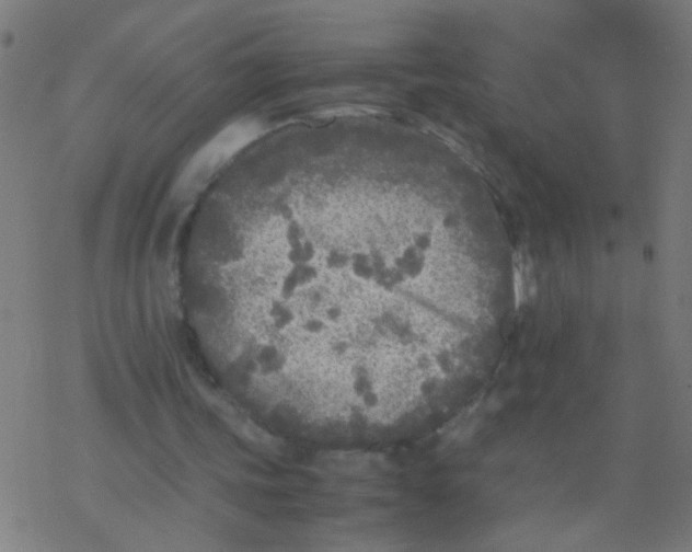 X0000077380339200611101735