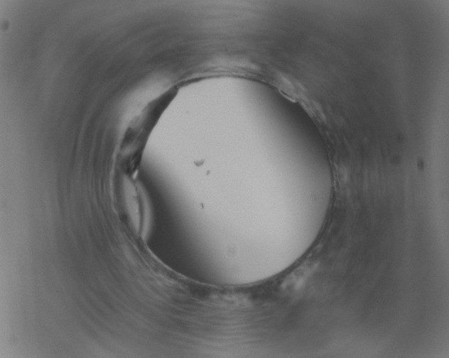 X0000077380340200611101735