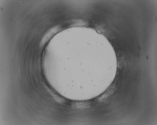 X0000077380341200611101735