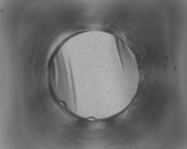 X0000077380342200611101735