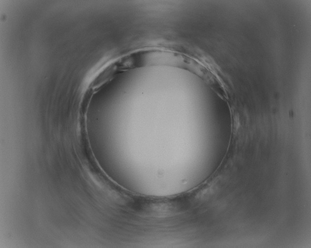 X0000077380344200611101735