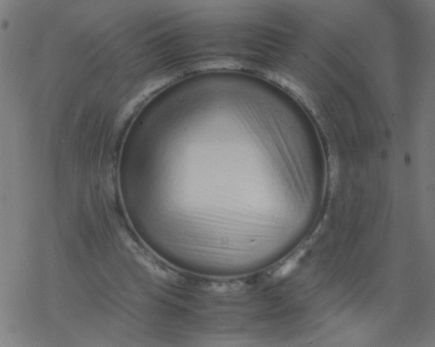 X0000077380345200611101735