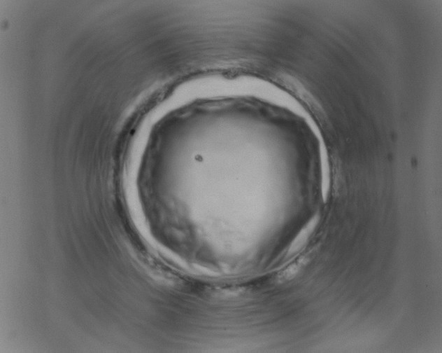 X0000077380346200611101735