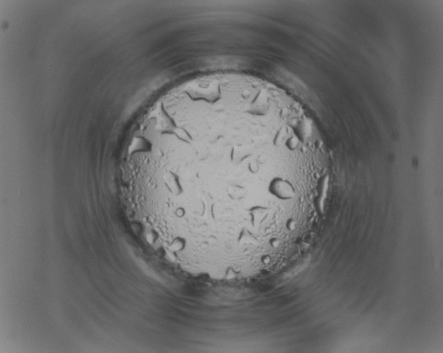 X0000077380347200611101735