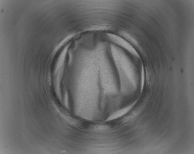 X0000077380348200611101735