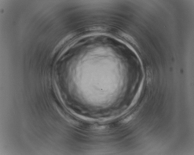 X0000077380349200611101735