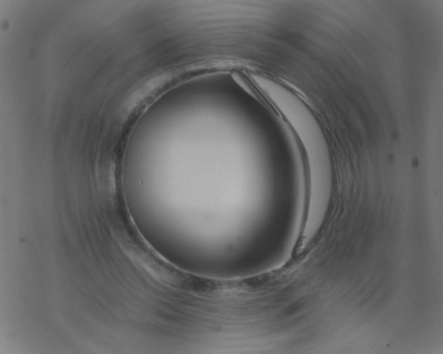 X0000077380350200611101735