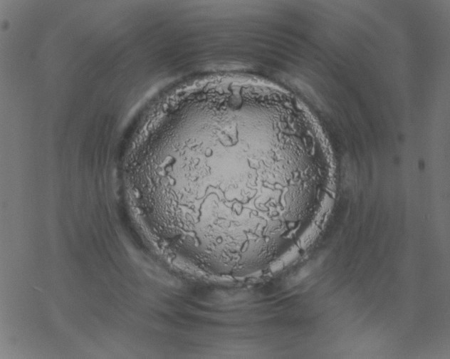 X0000077380351200611101735