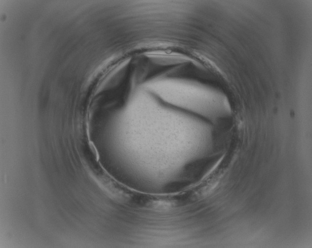 X0000077380352200611101735