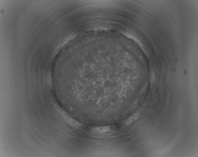 X0000077380353200611101735