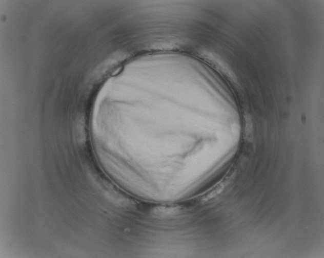 X0000077380354200611101735