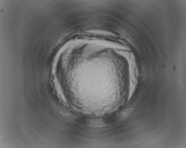 X0000077380355200611101735