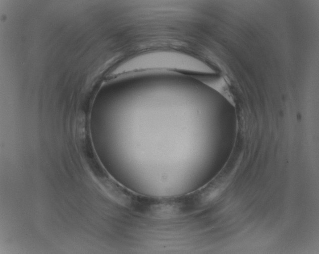 X0000077380356200611101735