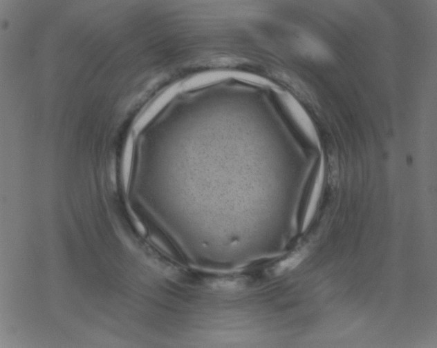 X0000077380358200611101735