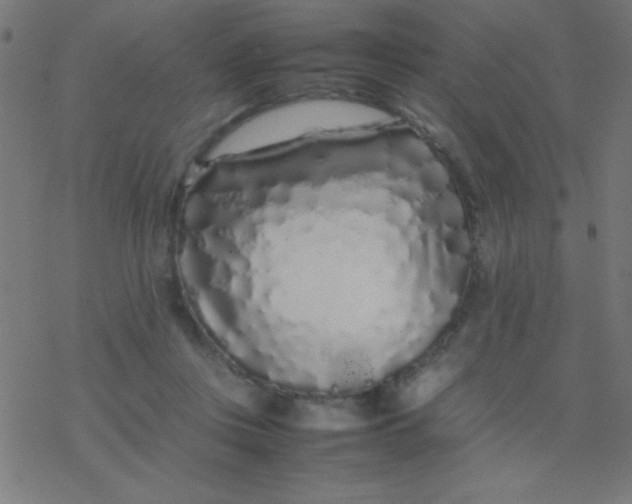 X0000077380359200611101735