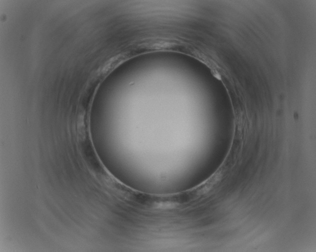 X0000077380360200611101735