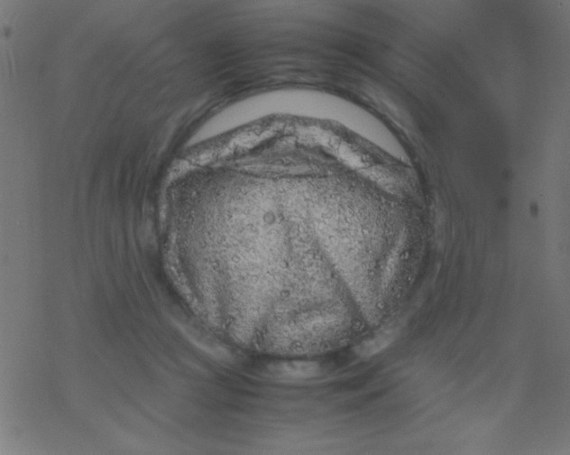 X0000077380361200611101735