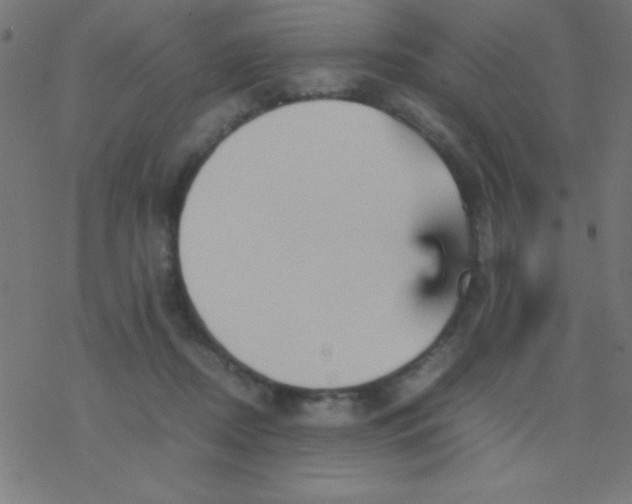 X0000077380362200611101735