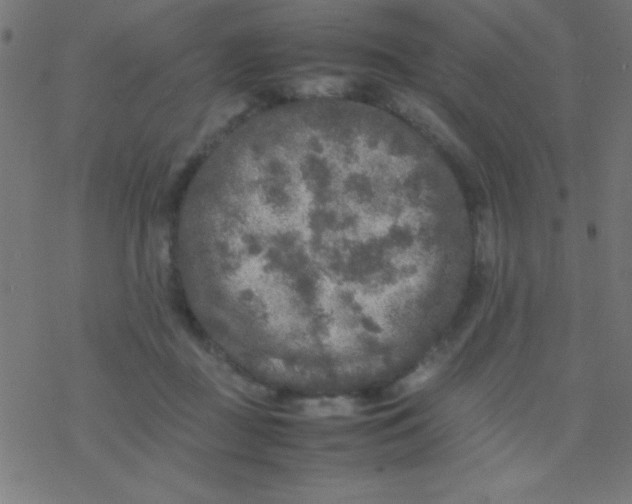 X0000077380363200611101735