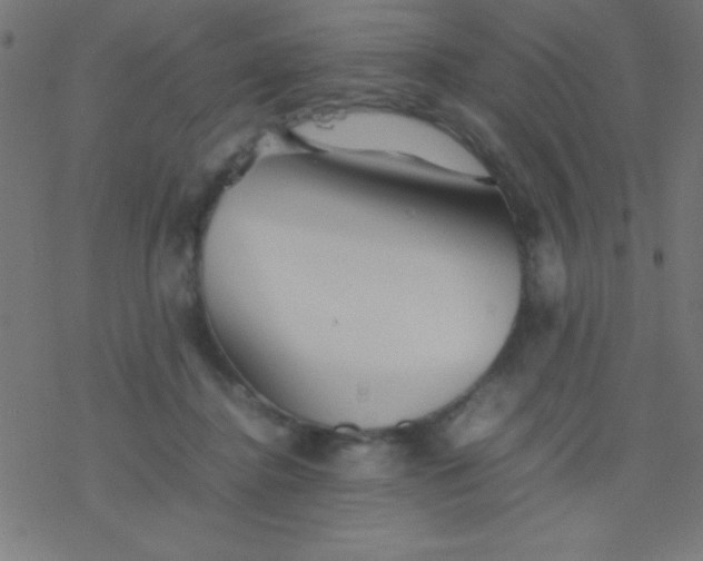 X0000077380364200611101735