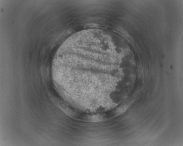 X0000077380365200611101735