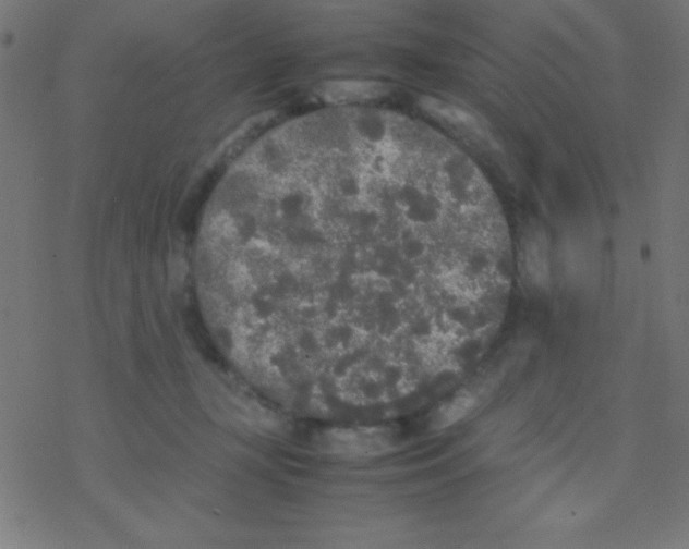 X0000077380367200611101735